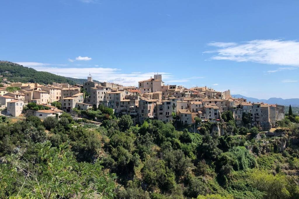 Appartement Au Calme Dans Un Espace Arbore Tourrettes-sur-Loup Luaran gambar